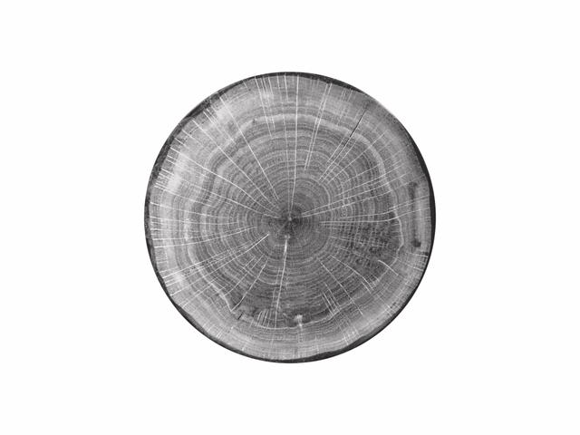 RAK Woodart Bord plat coupe - Ø270mm - Beech grey
