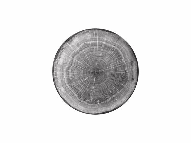RAK Woodart Bord plat coupe - Ø240mm - Beech grey