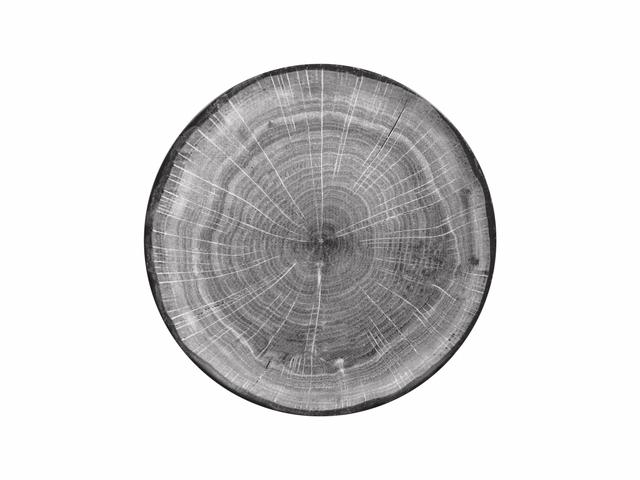 RAK Woodart Bord plat coupe - Ø290mm - Beech grey