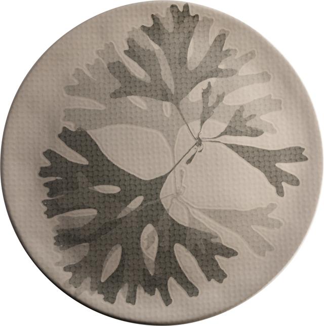 Fortessa Chef´s Plates Seaweed Bord plat coupe - Ø310mm - Taupe